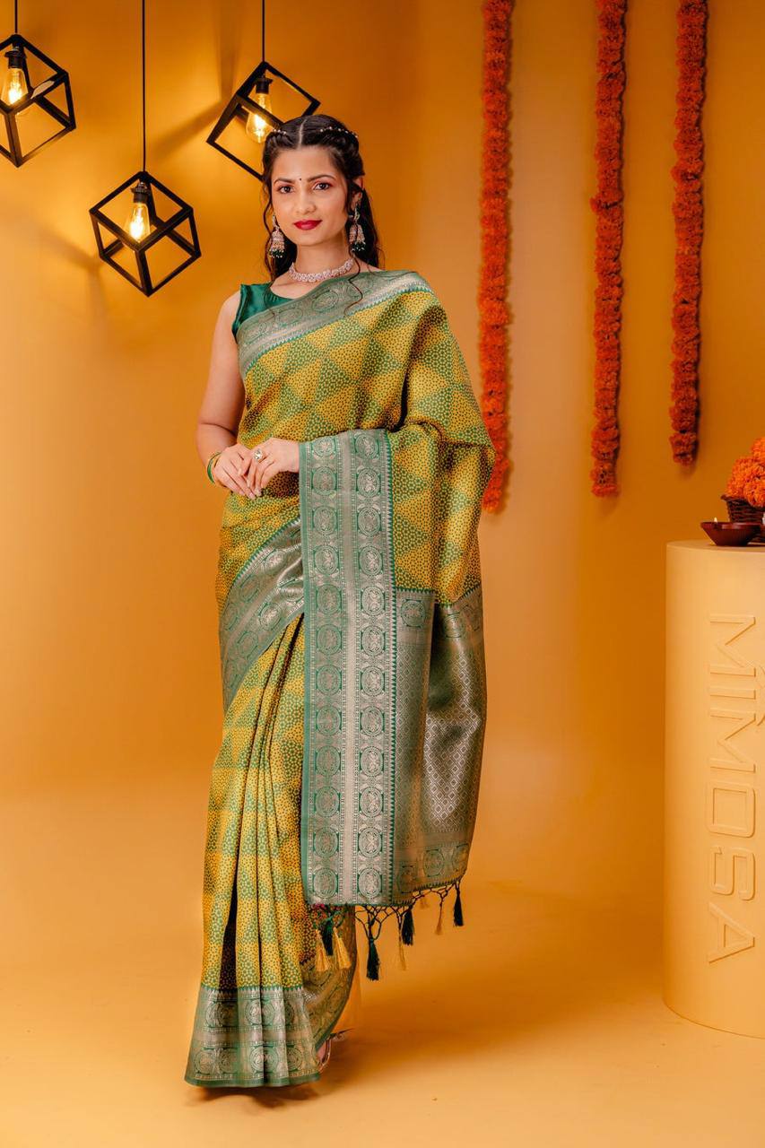 Woven Kanjivaram , Banarasi Jacquard Saree