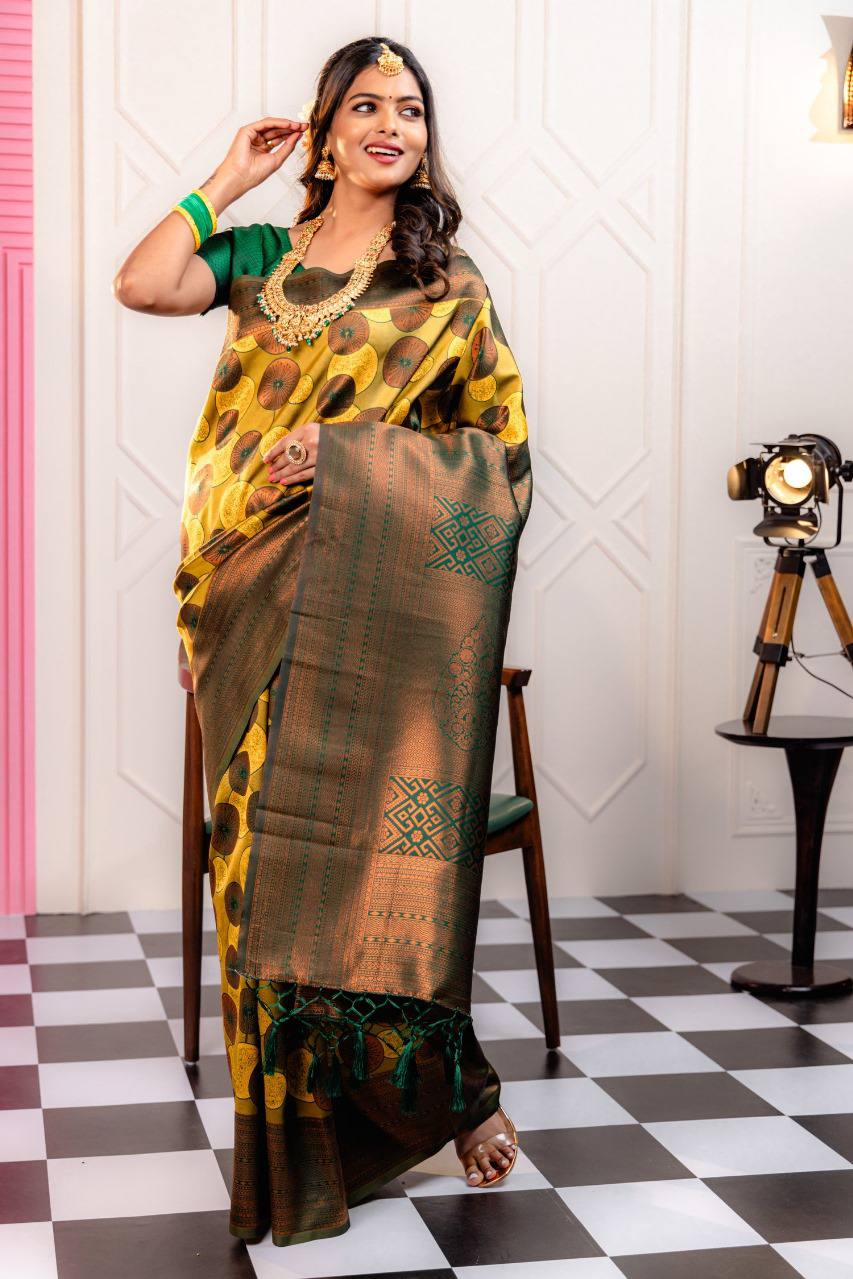 Woven Kanjivaram , Banarasi Jacquard Saree