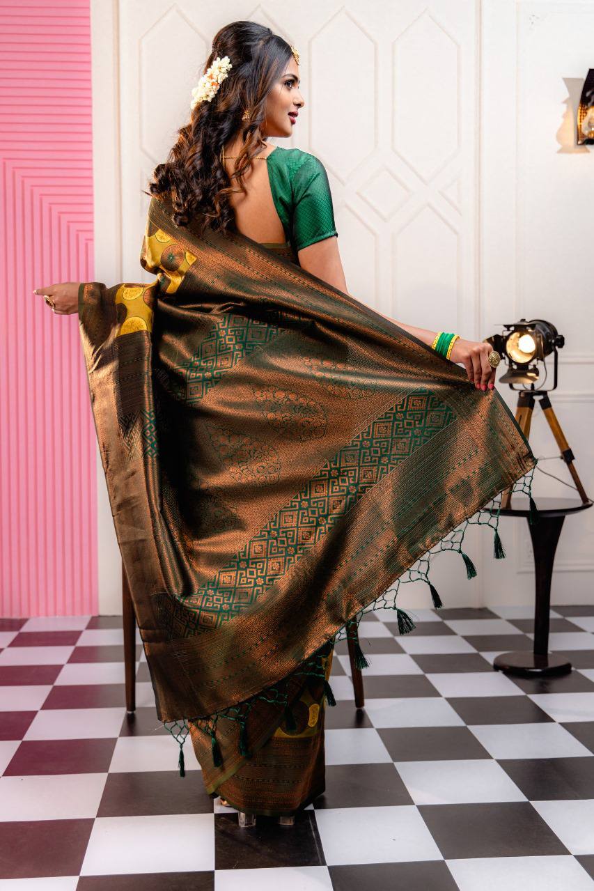 Woven Kanjivaram , Banarasi Jacquard Saree