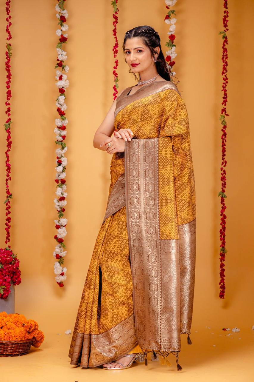 Woven Kanjivaram , Banarasi Jacquard Saree