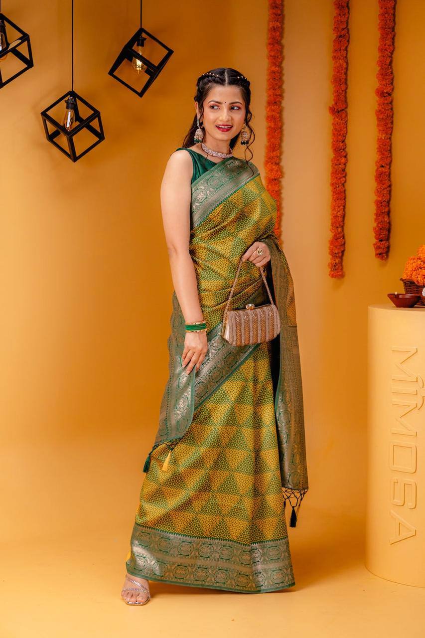 Woven Kanjivaram , Banarasi Jacquard Saree