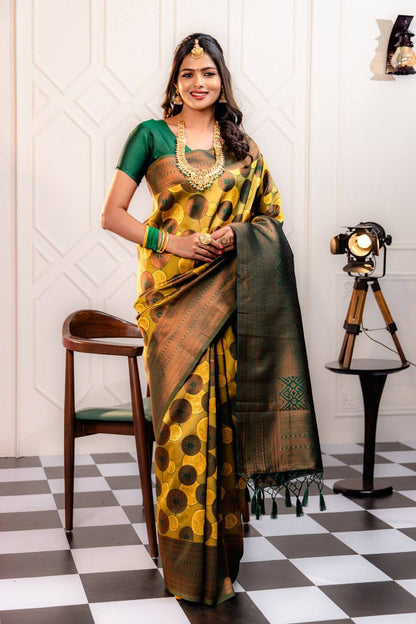 Woven Kanjivaram , Banarasi Jacquard Saree