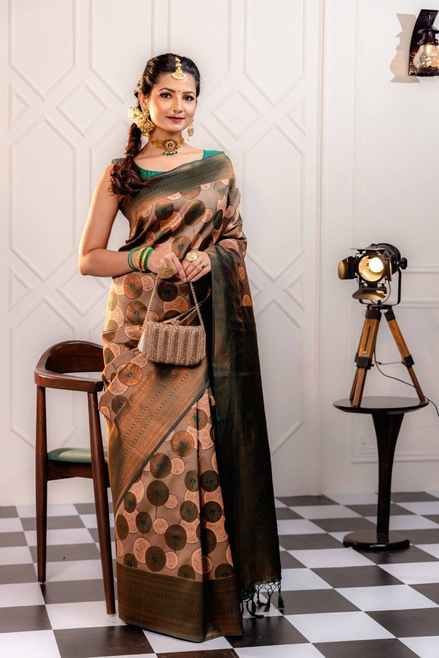 Woven Kanjivaram , Banarasi Jacquard Saree