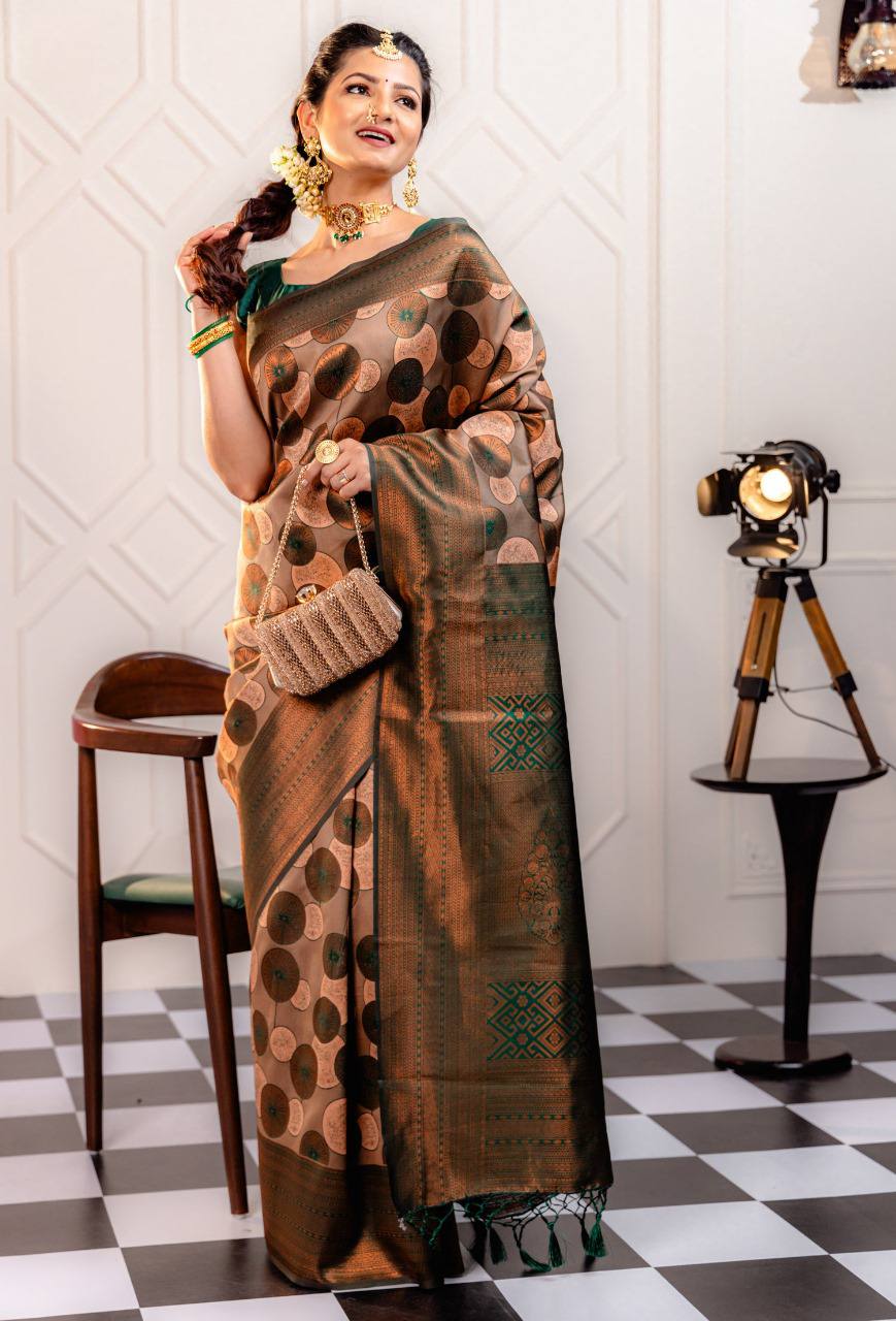 Woven Kanjivaram , Banarasi Jacquard Saree