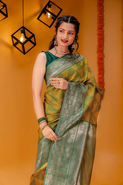 Woven Kanjivaram , Banarasi Jacquard Saree