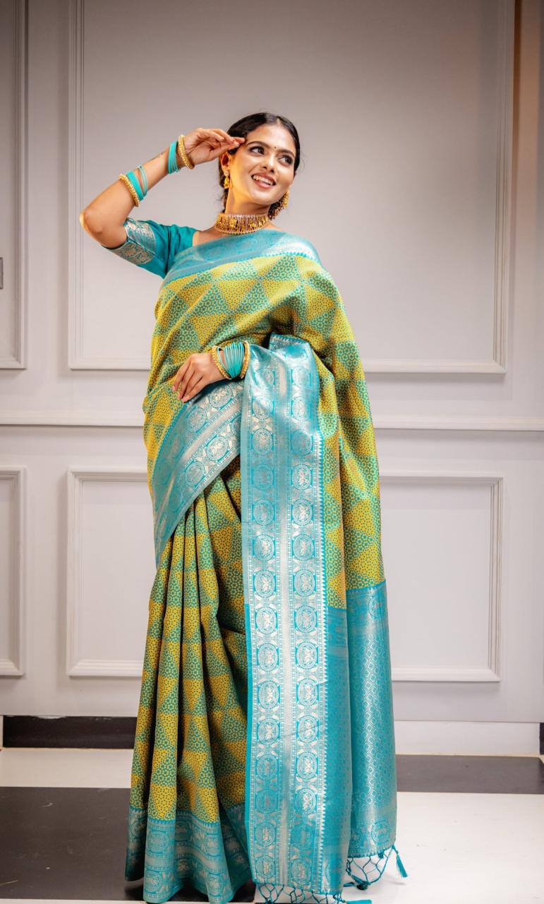 Woven Kanjivaram , Banarasi Jacquard Saree