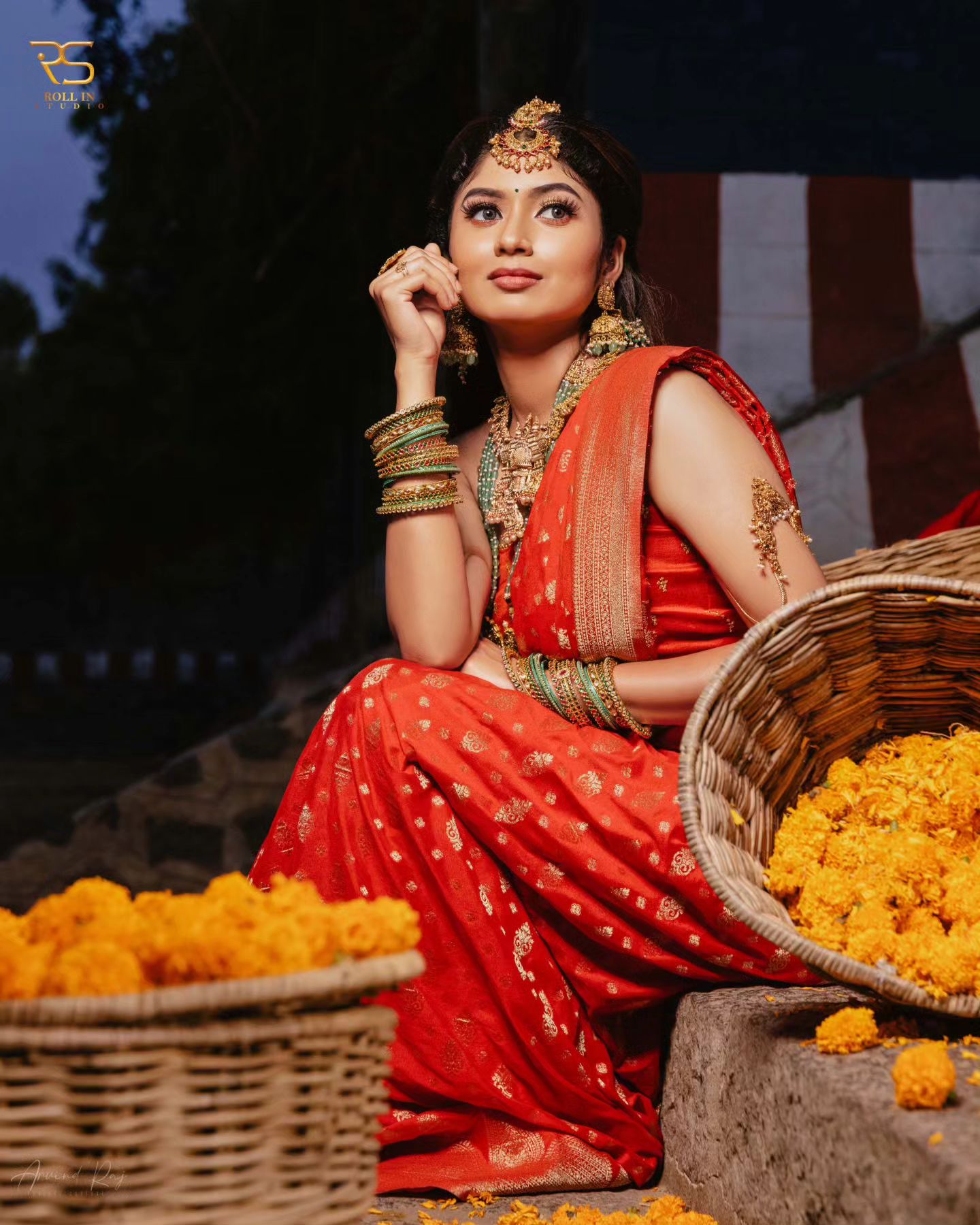 Woven Kanjivaram , Banarasi Jacquard Saree