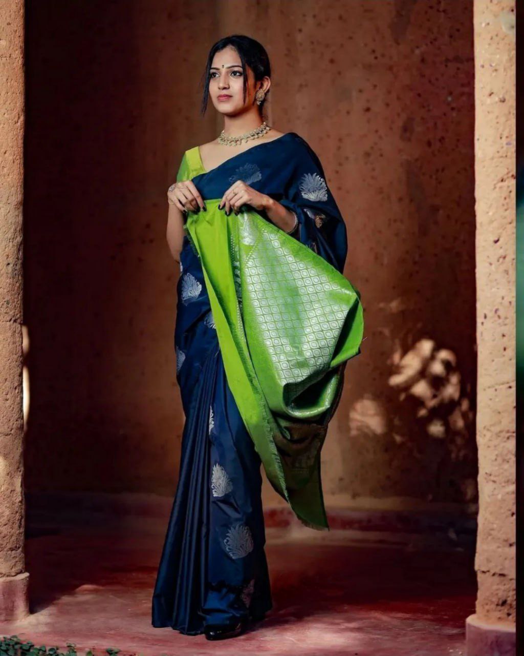 Woven Kanjivaram , Banarasi Jacquard Saree