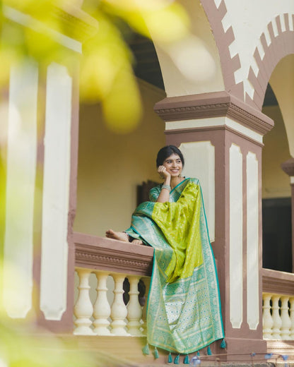 Woven Kanjivaram , Banarasi Jacquard Saree