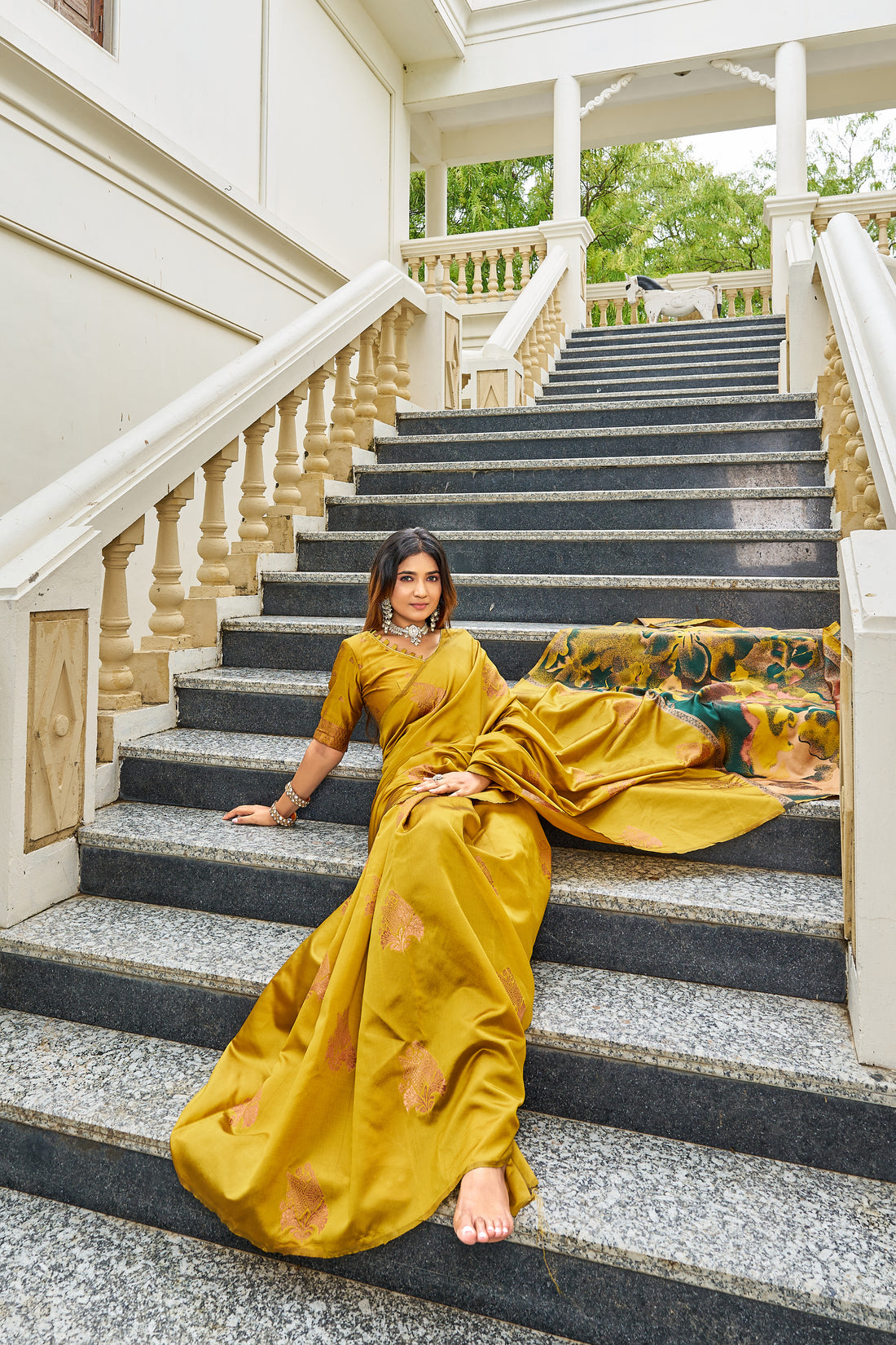 Woven Kanjivaram , Banarasi Jacquard Saree