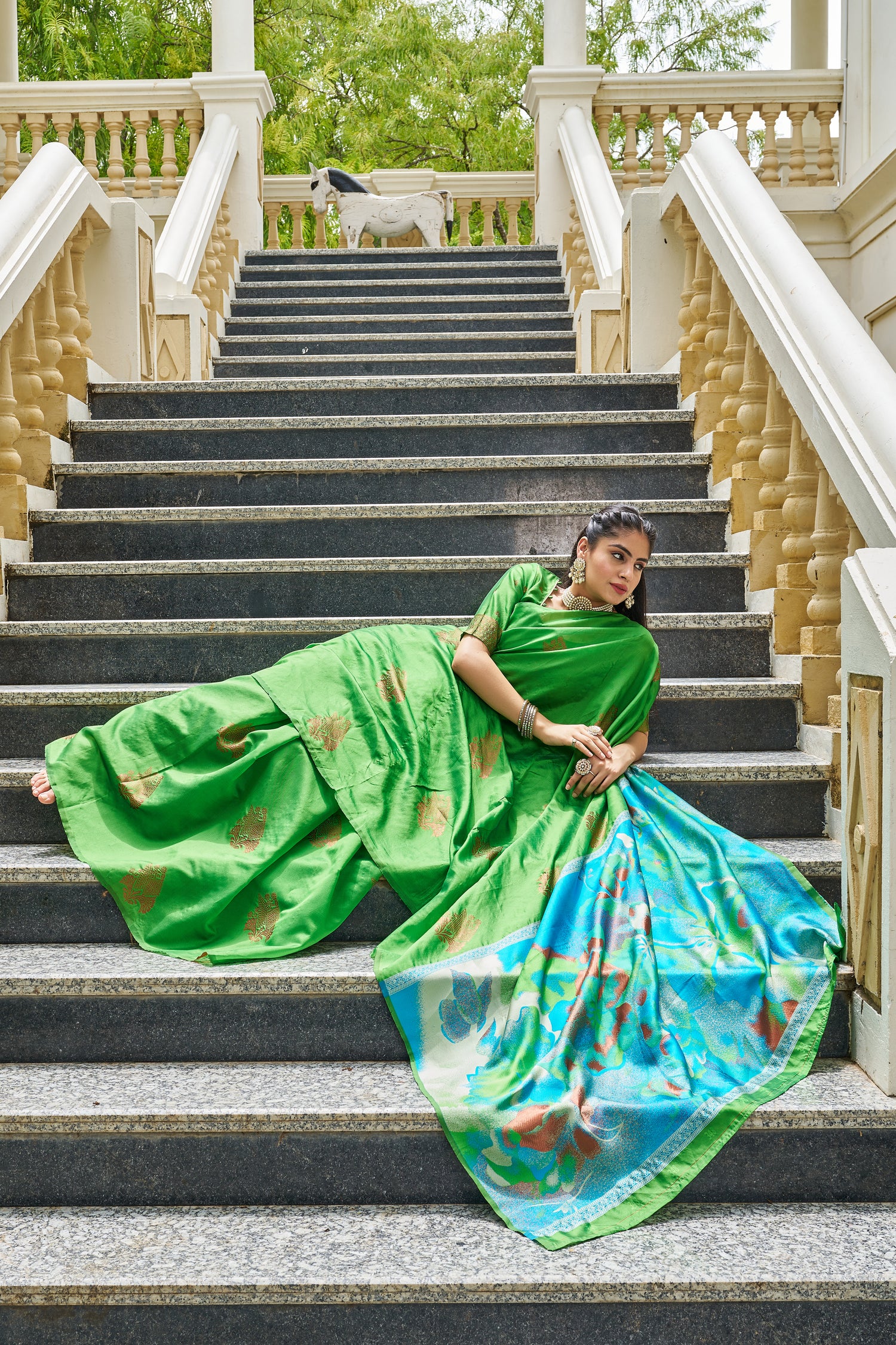 Woven Kanjivaram , Banarasi Jacquard Saree